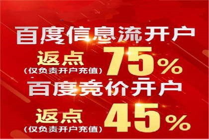 竞价广告的投放策略调整：基于数据反馈的实战案例